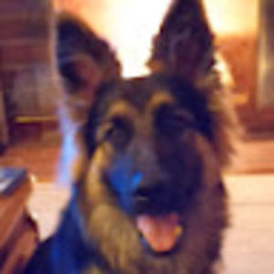 Meet your Posher, Darcy